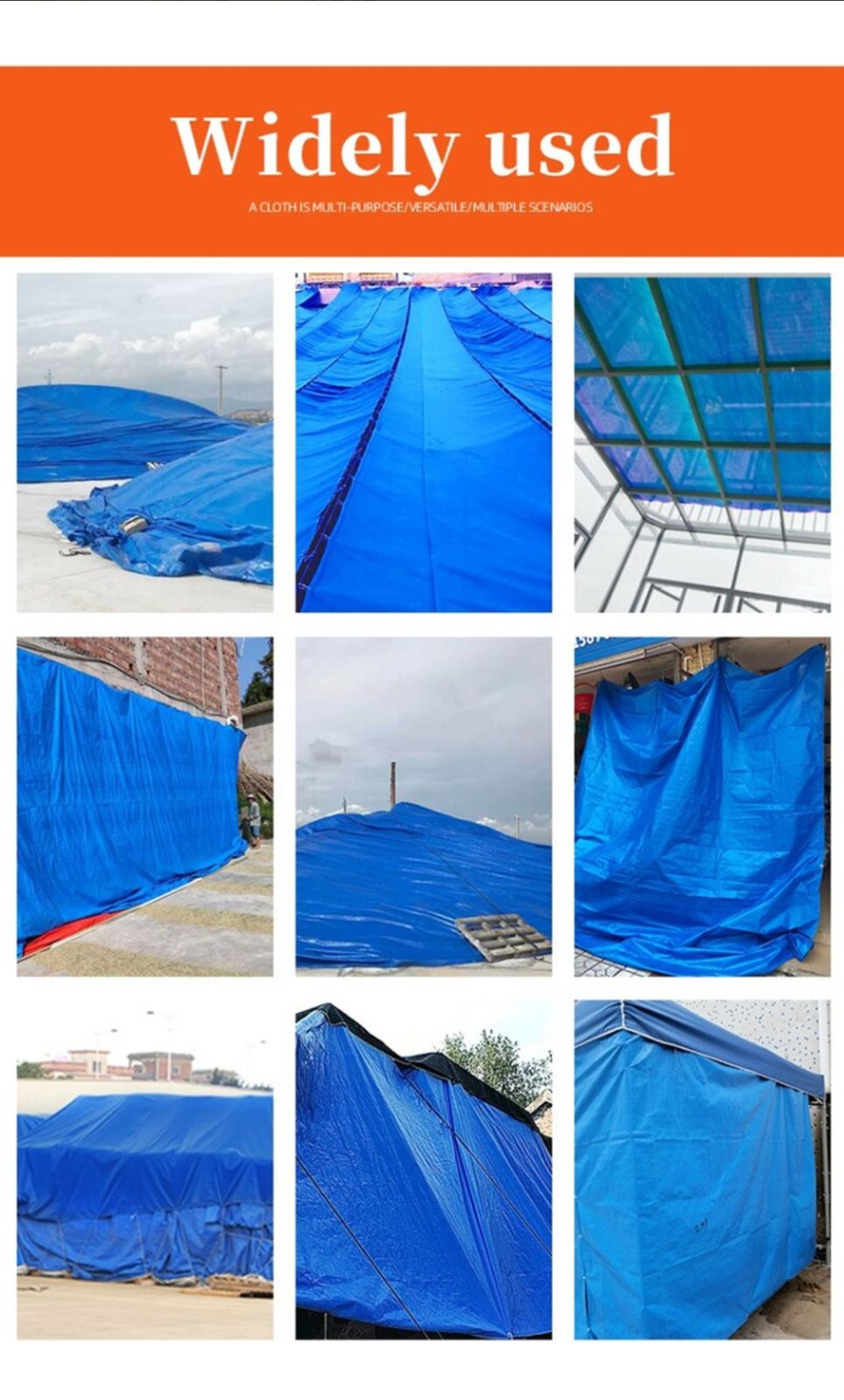 Lona Carpa Mutiusos Antiagua tamaño