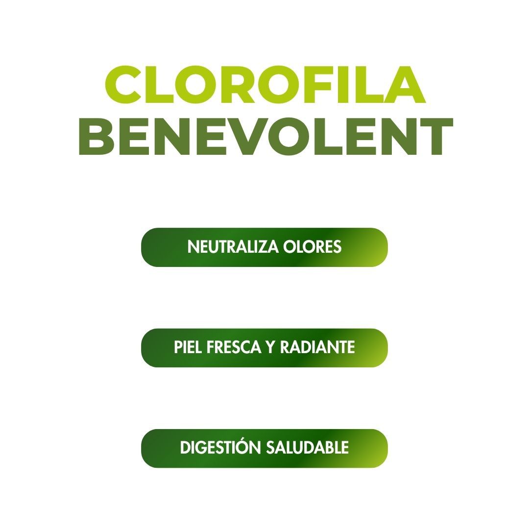 Clorofila Benevolent detalle