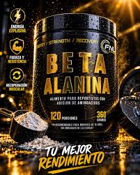 Beta Alanina FNL 360 g