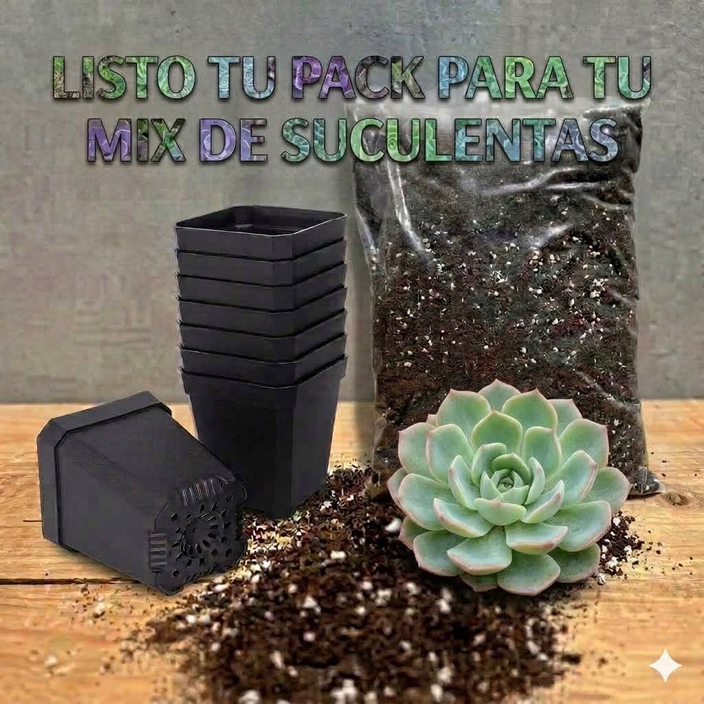 PACK Premium Trasplante para Suculentas