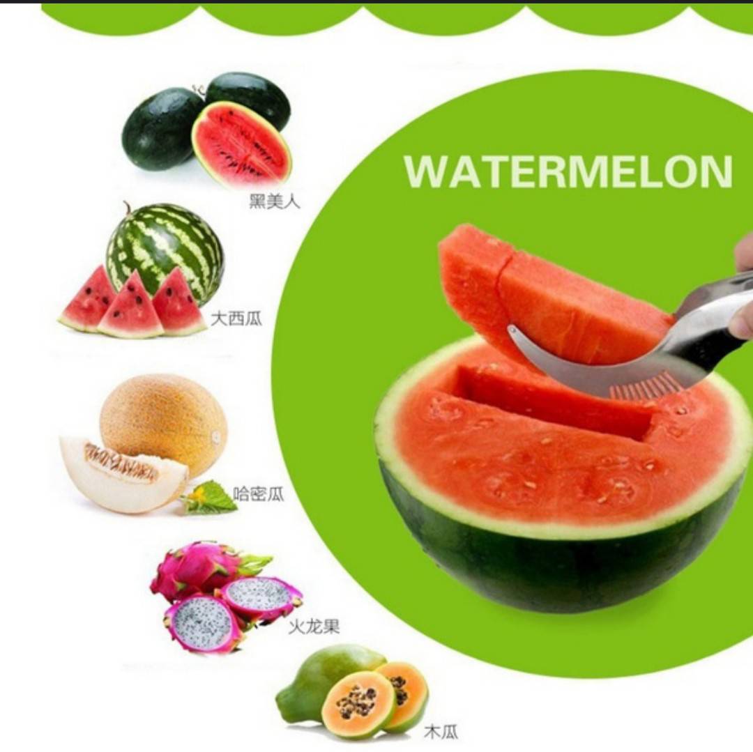 cortador de sandia