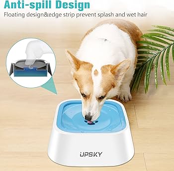 PLATO ANTI SPLASH - NO SALPICON DE AGUA