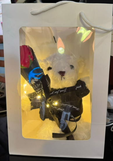 PELUCHE REGALO