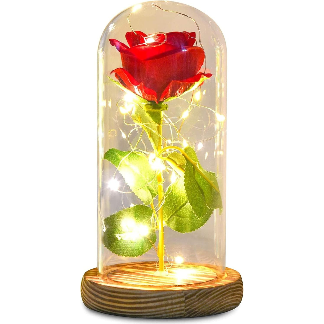 Rosa Luces LED Cálidas + Cúpula