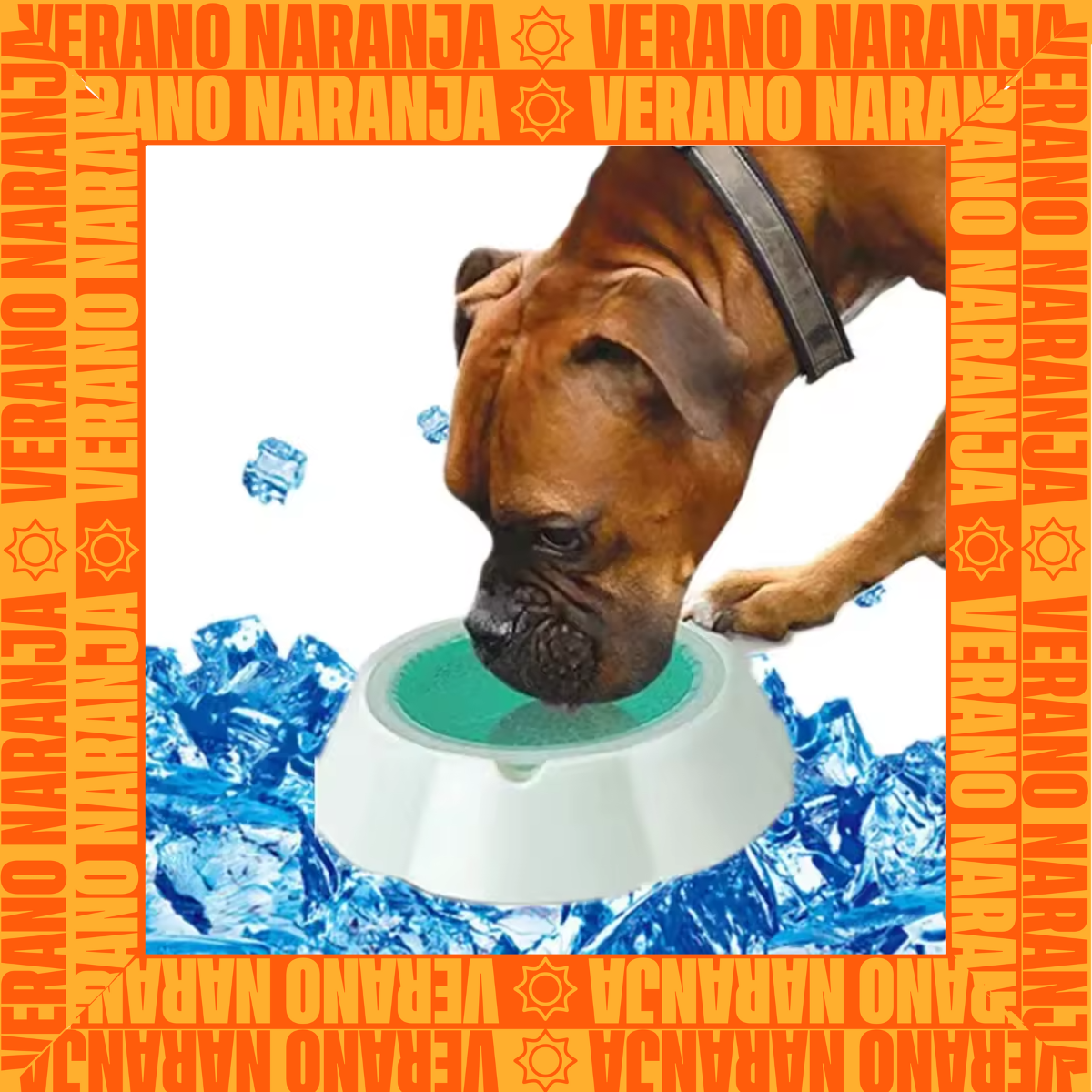 Bebedero HidroGel Conserva Agua Fria VN