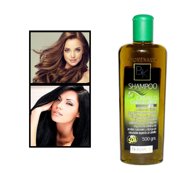 SHAMPOO CABALLO BK 500Grs WINNER