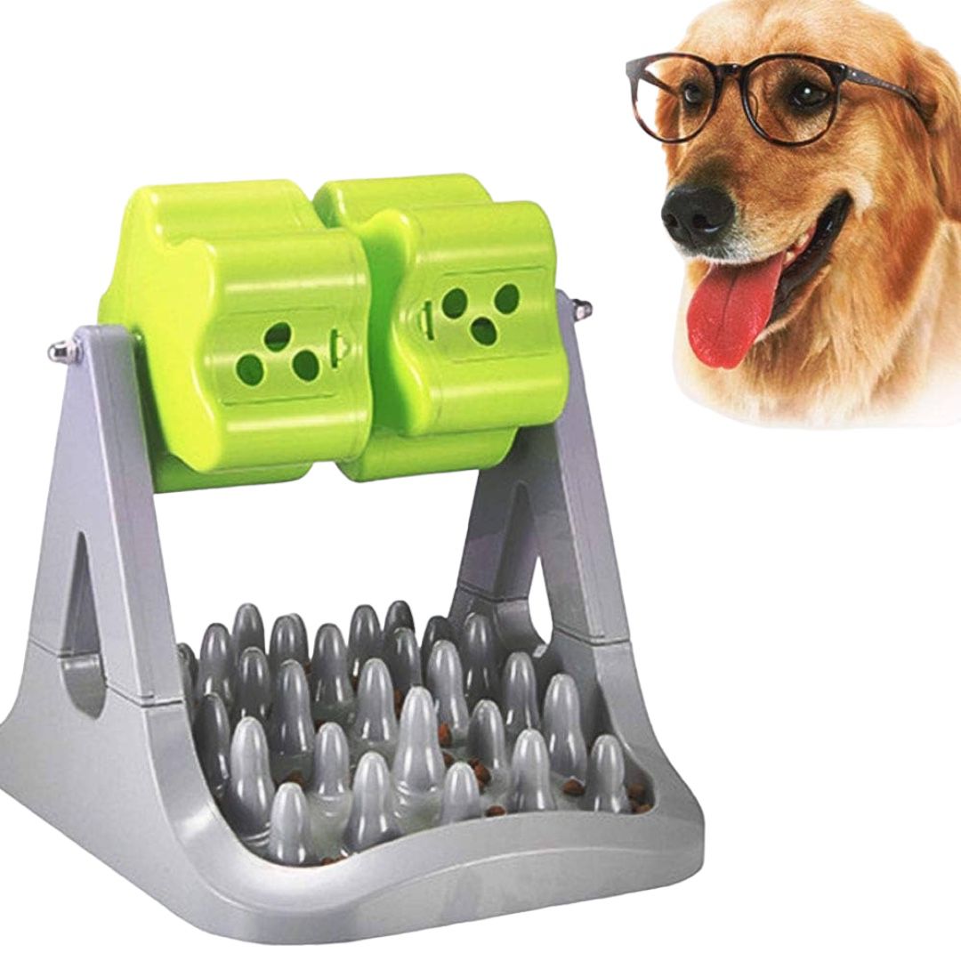 Juego Alimento Perros