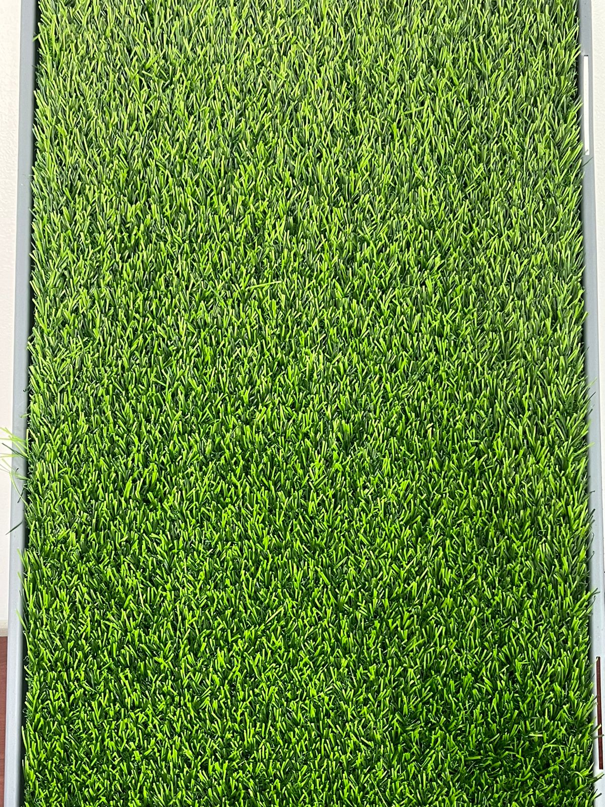 Tapete Pasto Entrenamiento De Perros P 4