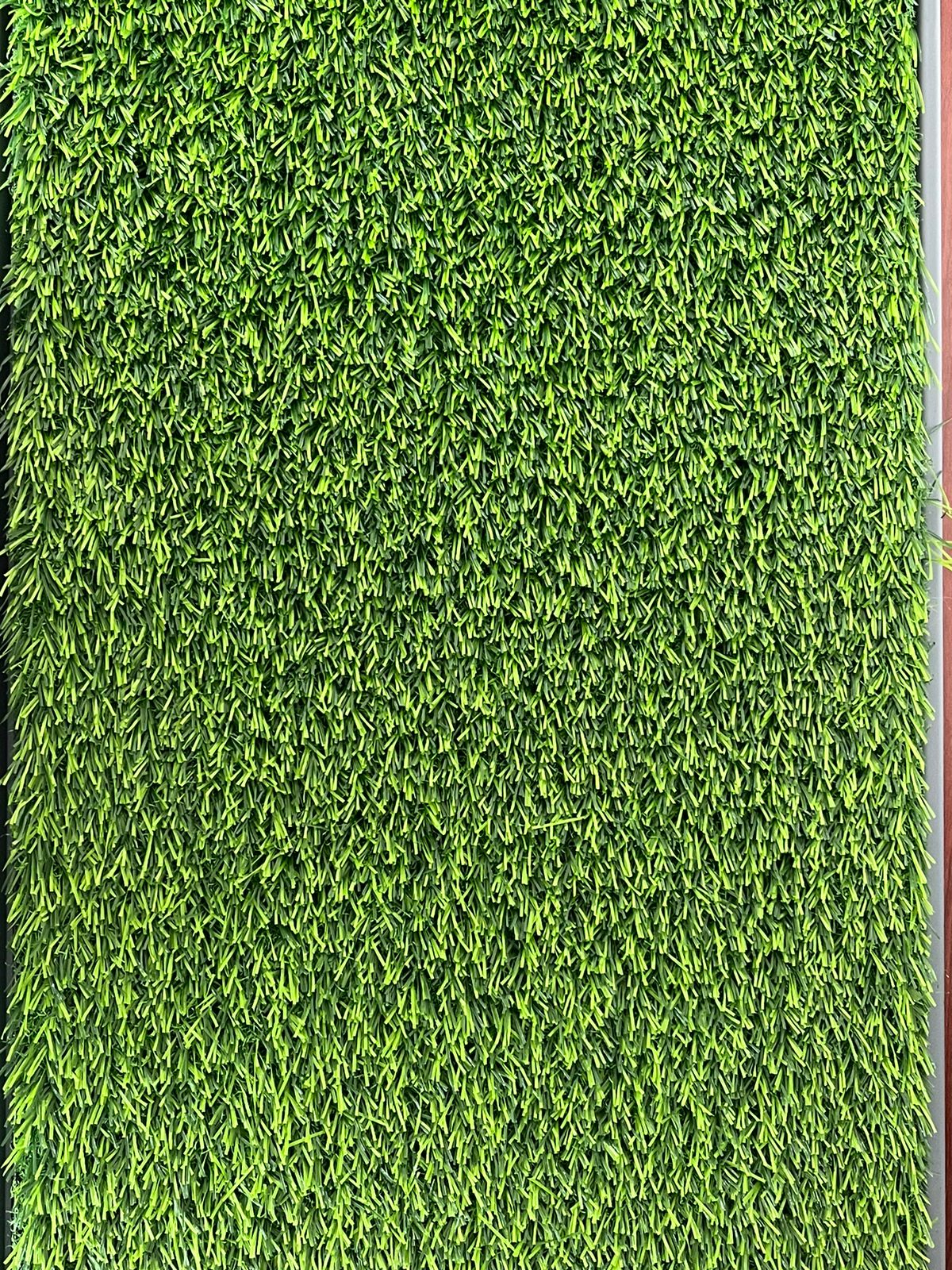 Tapete Pasto Entrenamiento De Perros P 5