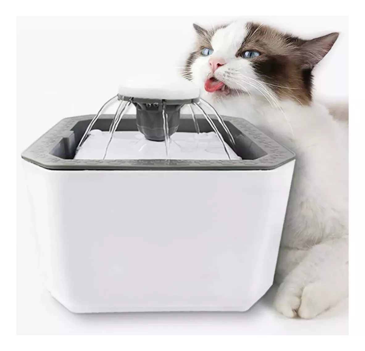 Miniatura 2 de Fuente de Agua mascota