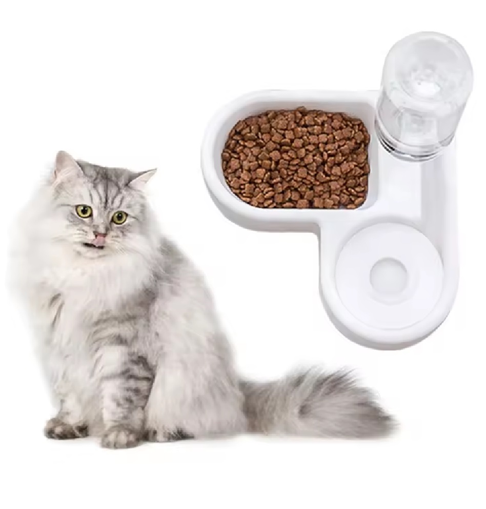 Bebedero Dispensador Automático Para Mas