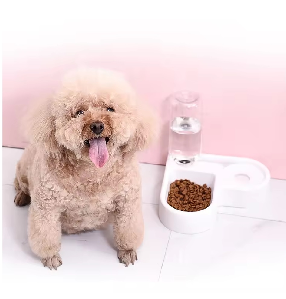 Miniatura 4 de Bebedero Dispensador Automático Para Mas