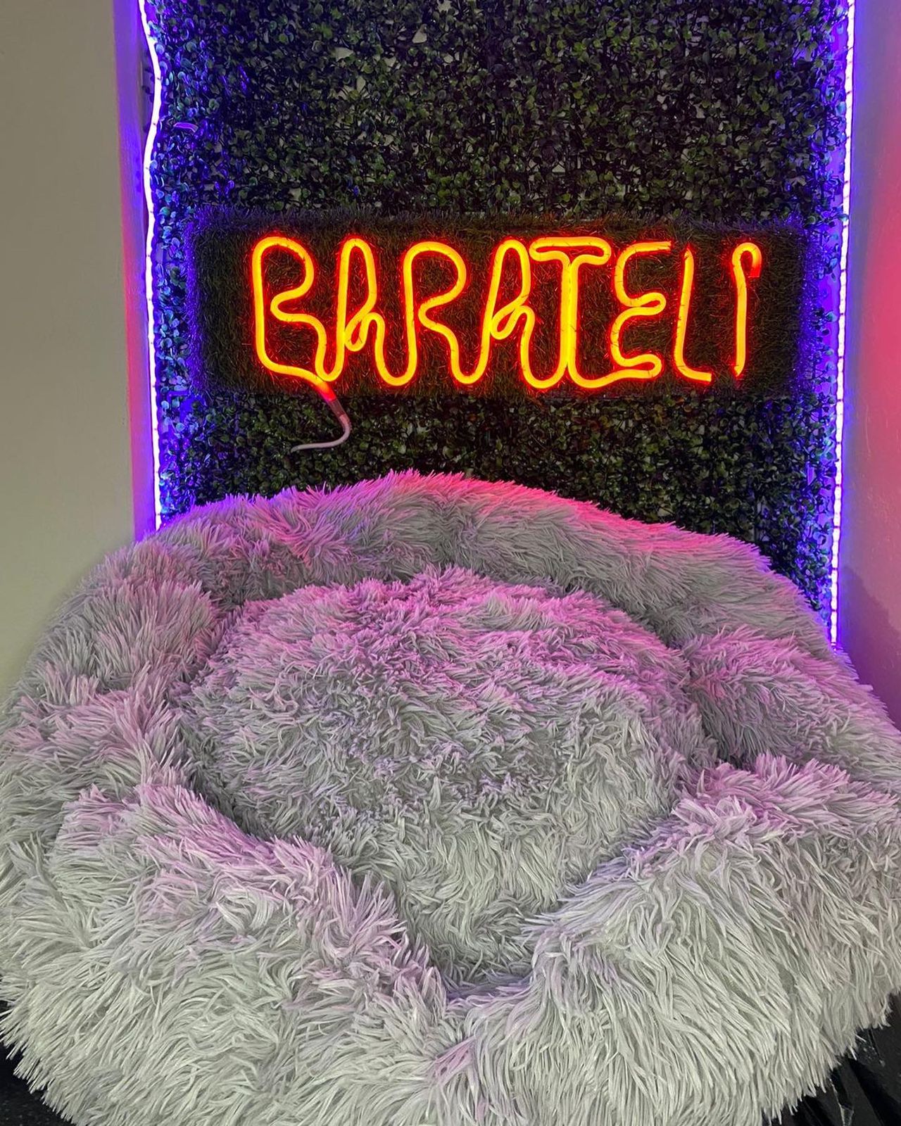 Cama Anti ansiedad Para Mascotas Talla S