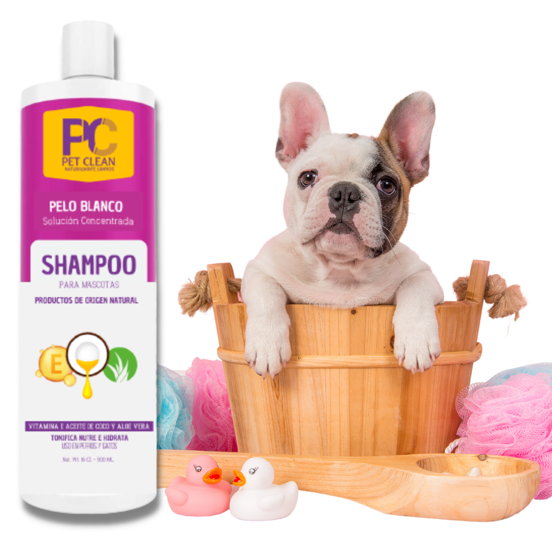 Shampoo Perro X 500ml 2