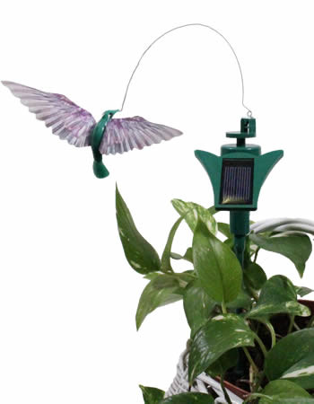 Miniatura 2 de COLIBRI Y MARIPOSA SOLAR
