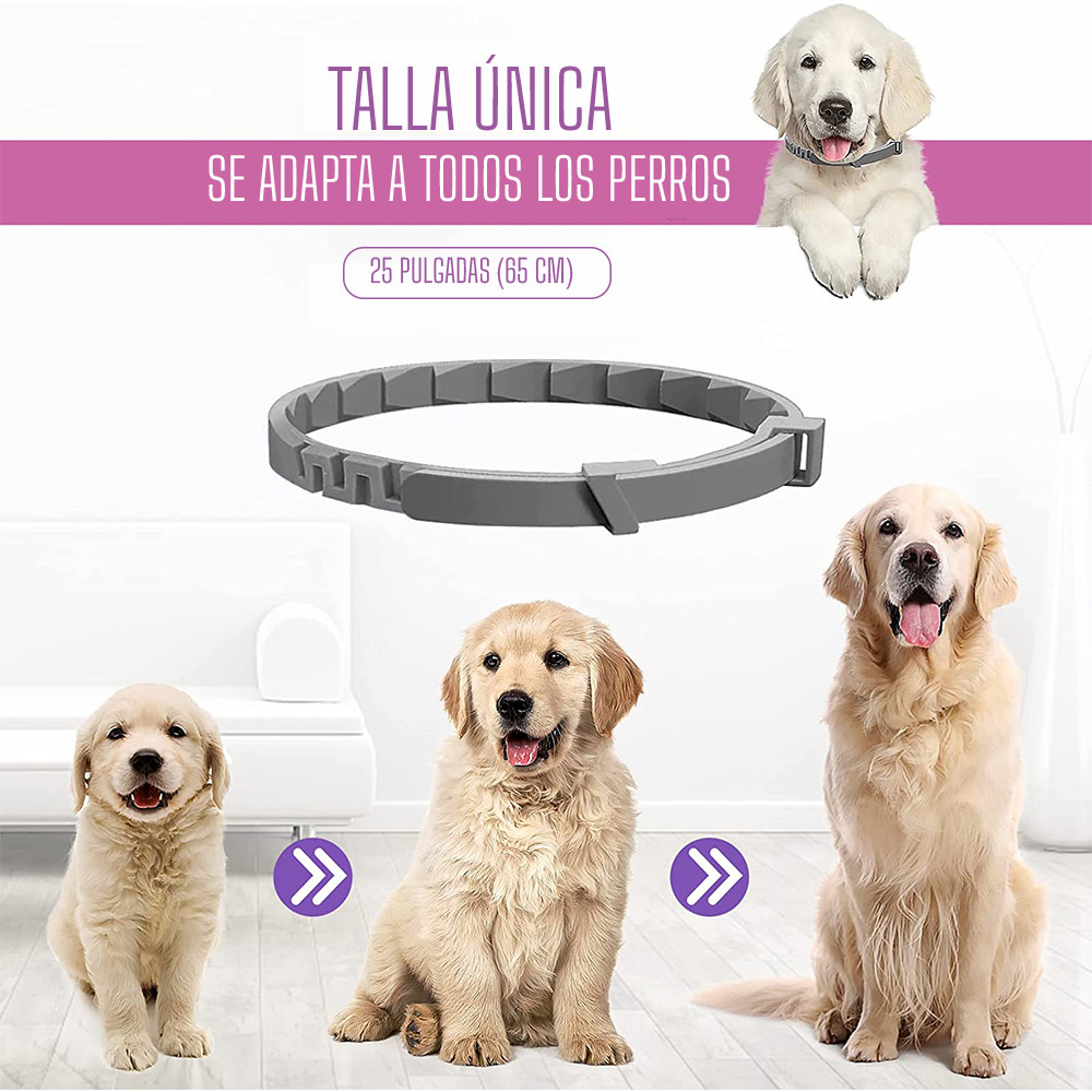 Collar Relajante Para Perros Feromonas 6