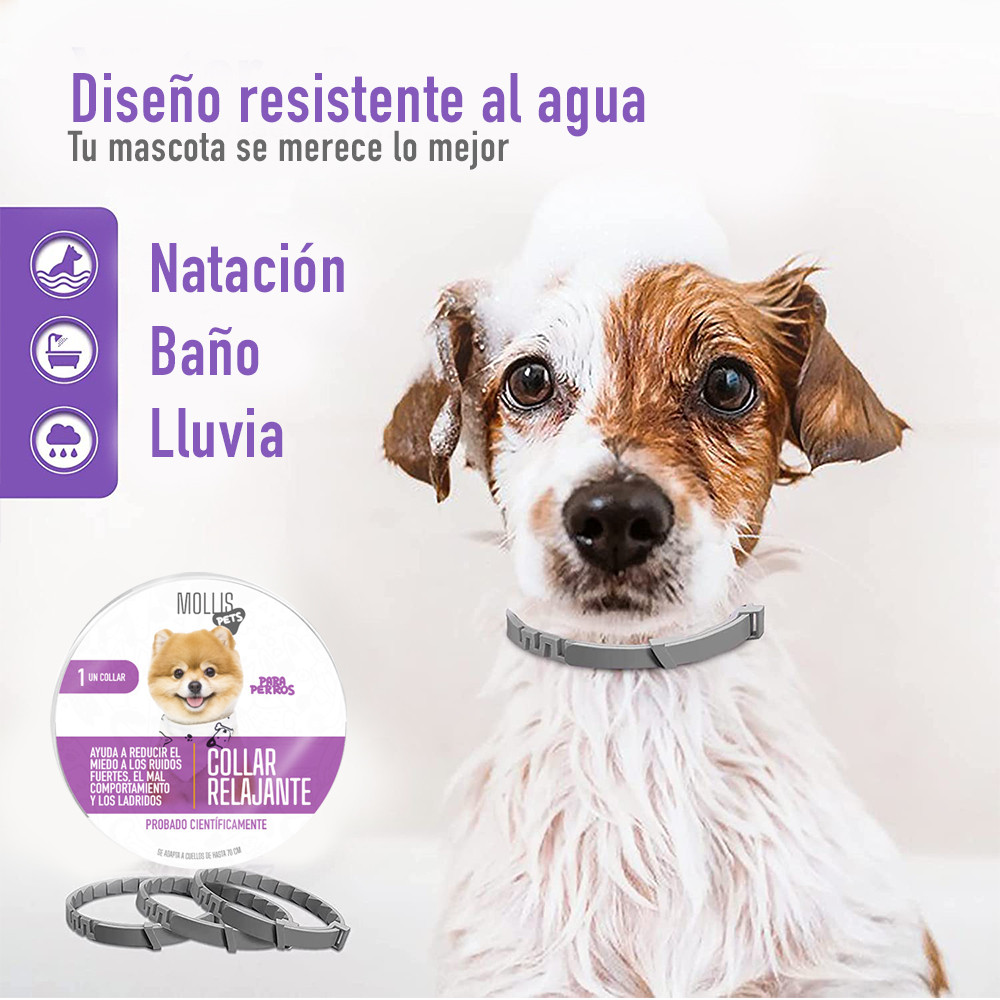Collar Relajante Para Perros Feromonas 3