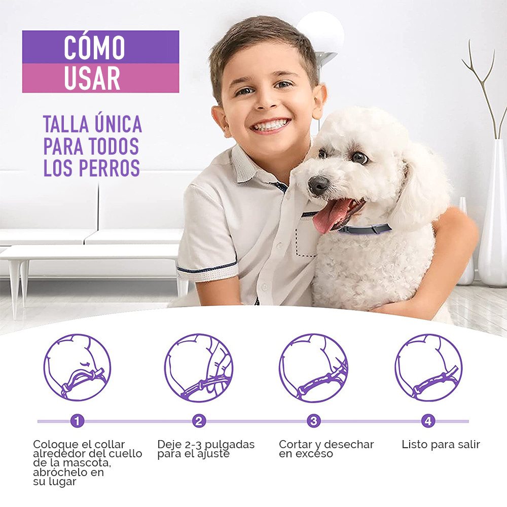 Collar Relajante Para Perros Feromonas 2