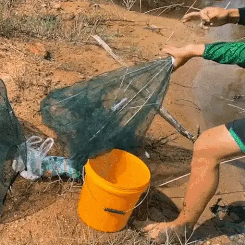 Herramientas