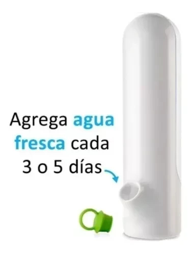 Miniatura 2 de RECIPIENTE CONSERVADOR DE HIERBAS