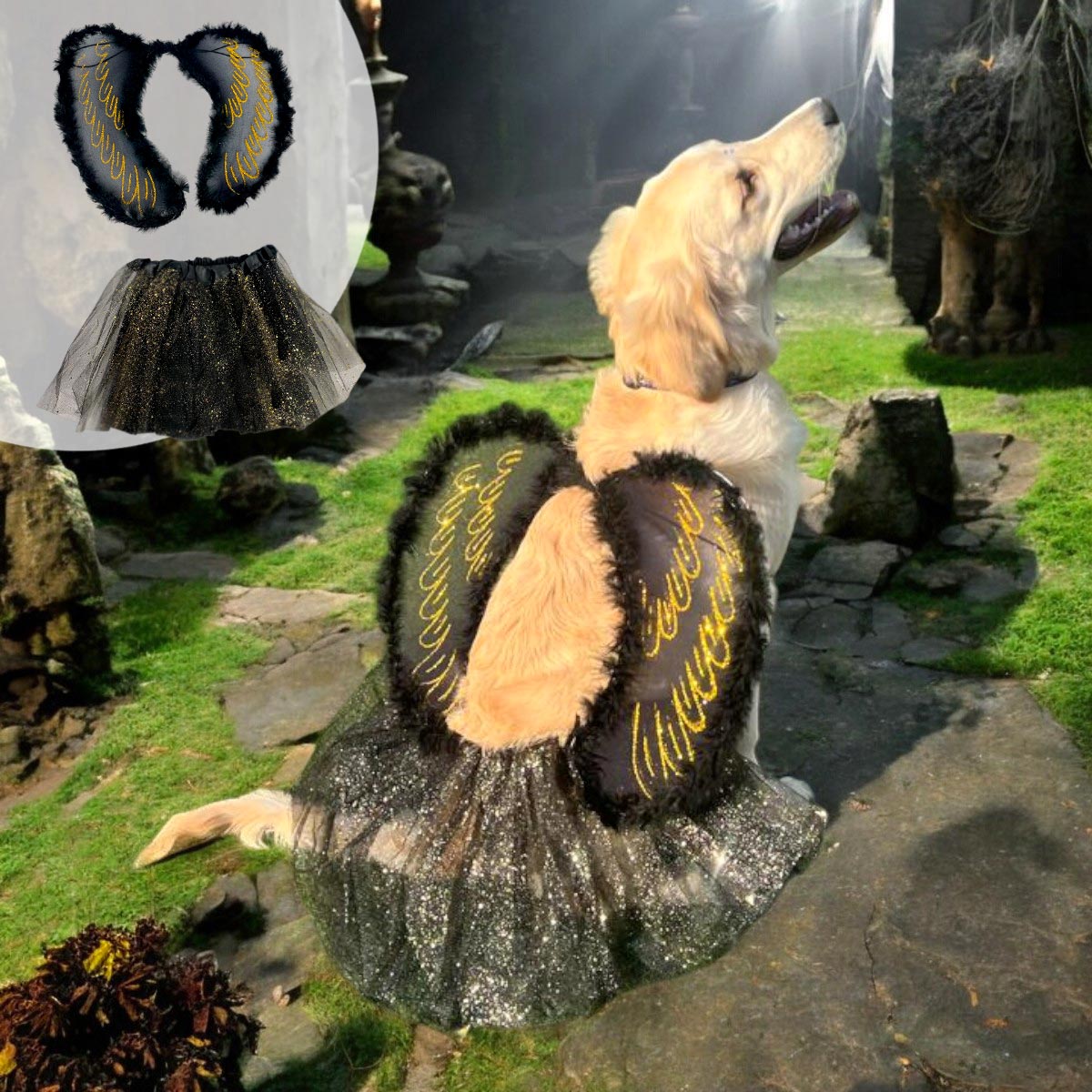 Disfraz Mascota Angel Negro OF-1487PET