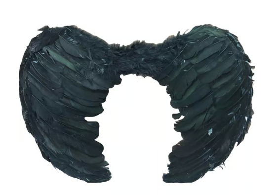 combo Alas de ángel negras+ Diablo