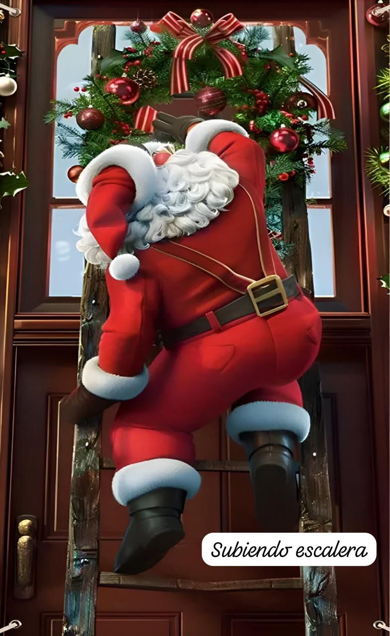 Vista 29 de Fundas Navideñas Para Puertas