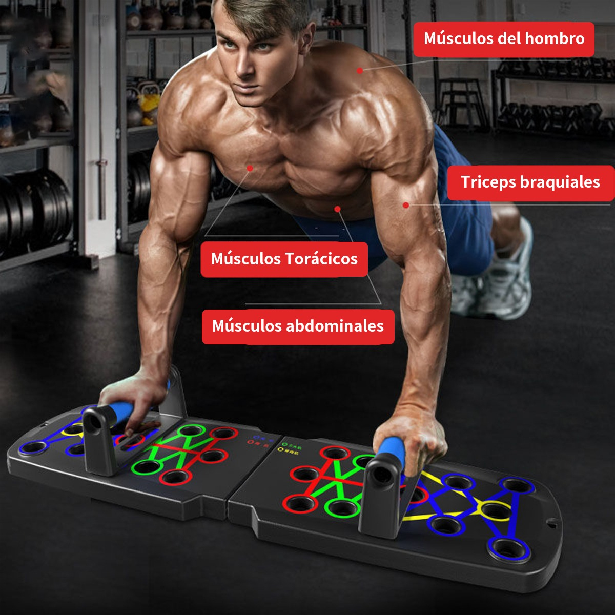 TABLA DE EJERCICIO PLEGABLE