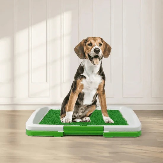 Miniatura 3 de Tapete Para Mascotas Grande