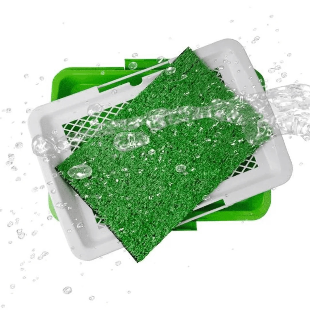 Tapete Para Mascotas Grande