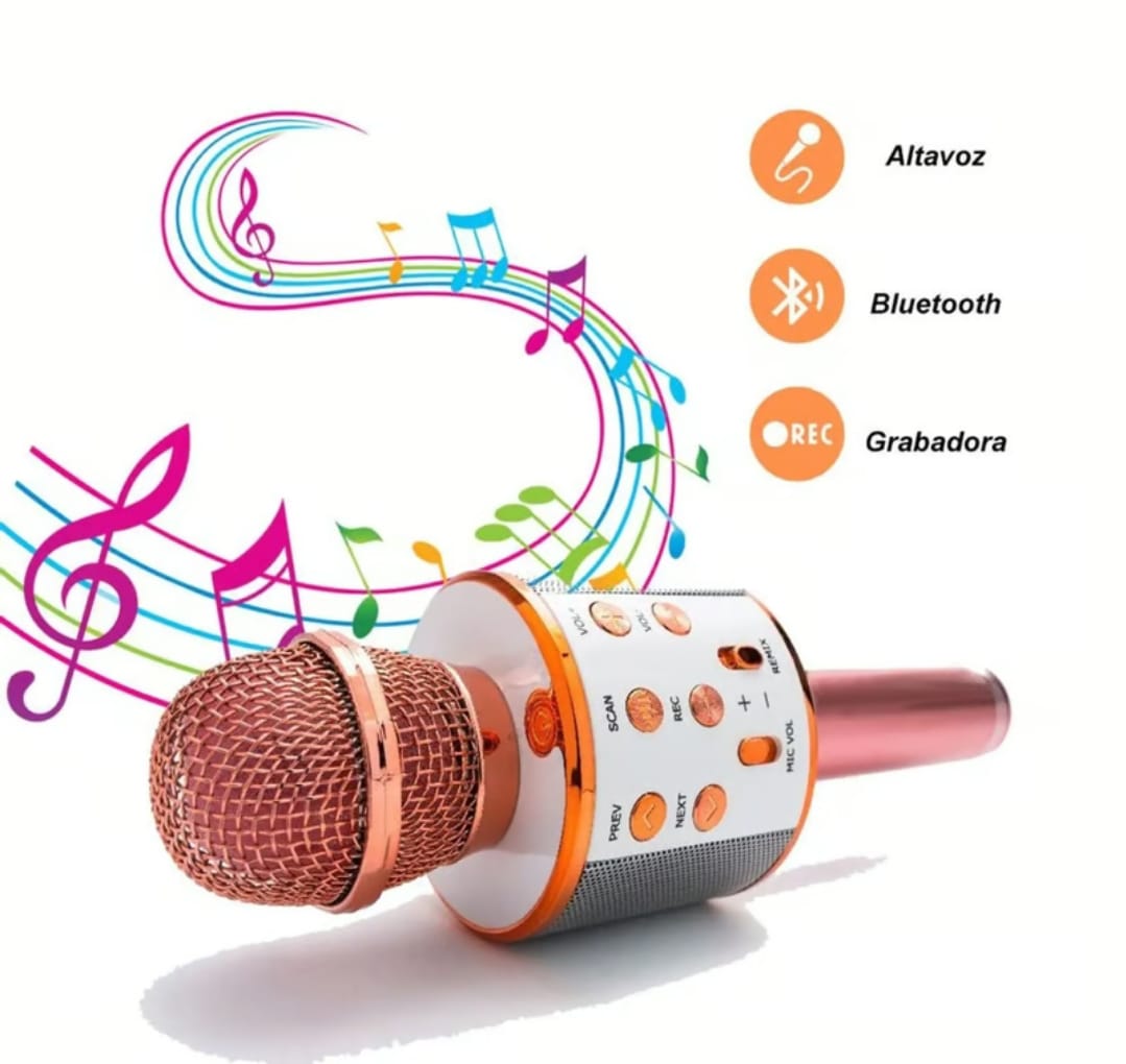Microfono Karaoke Bluetooth Fm Usb