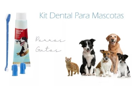 Set Higiene Dental Cepillo Para Perros