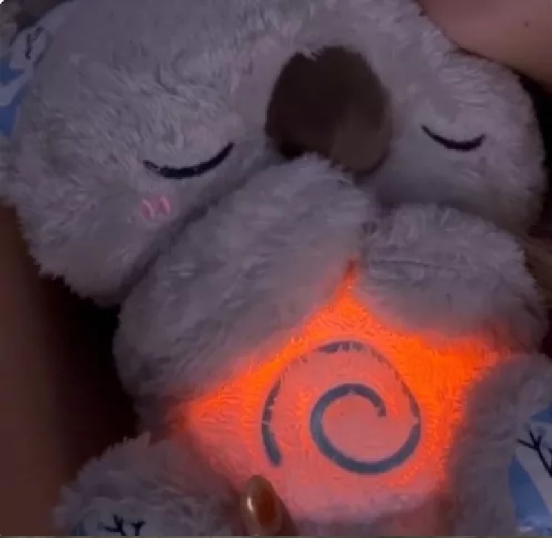 Miniatura 2 de Calma Al Koala Para Que Duerma