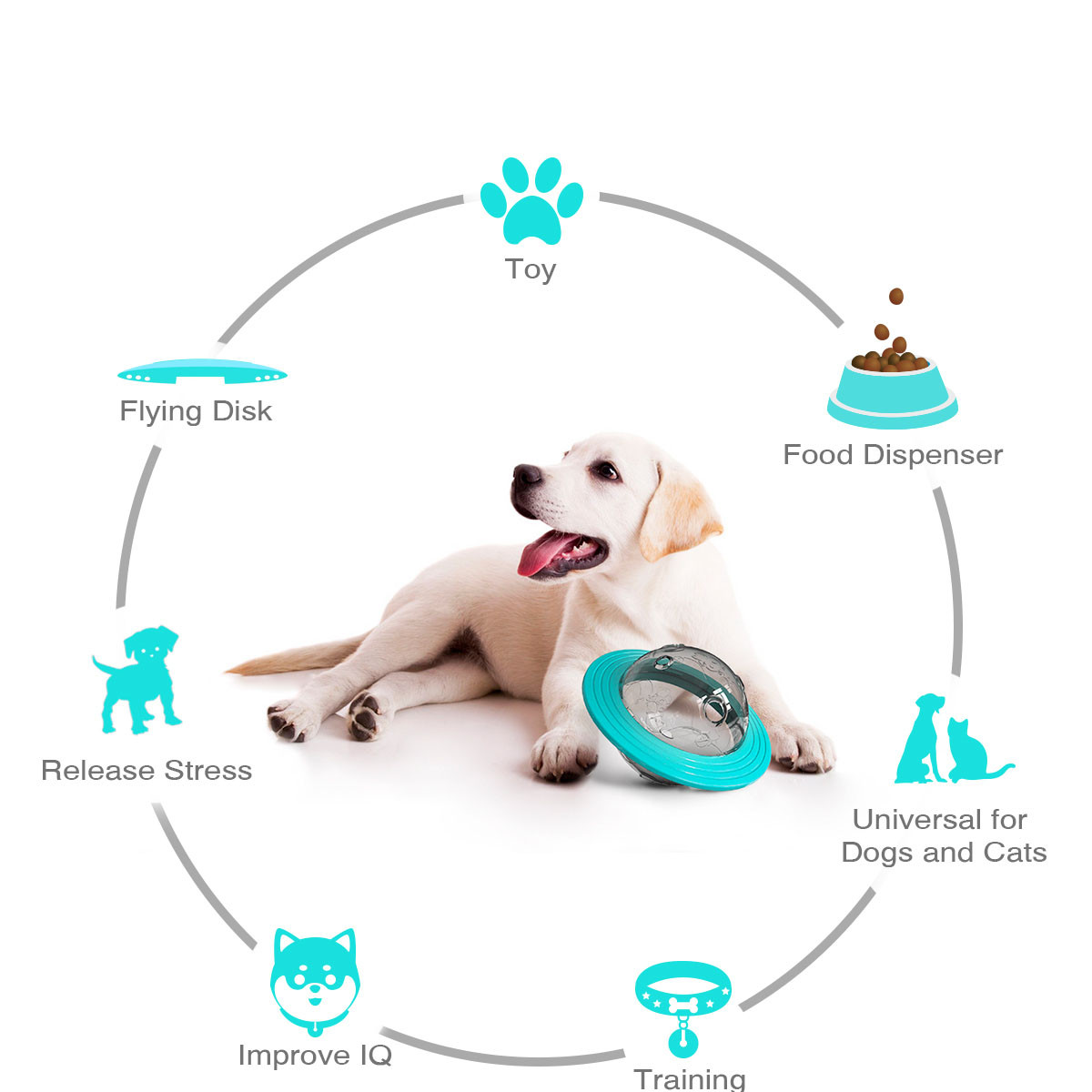 Dispensador De Alimentos Perro Frisbe 2