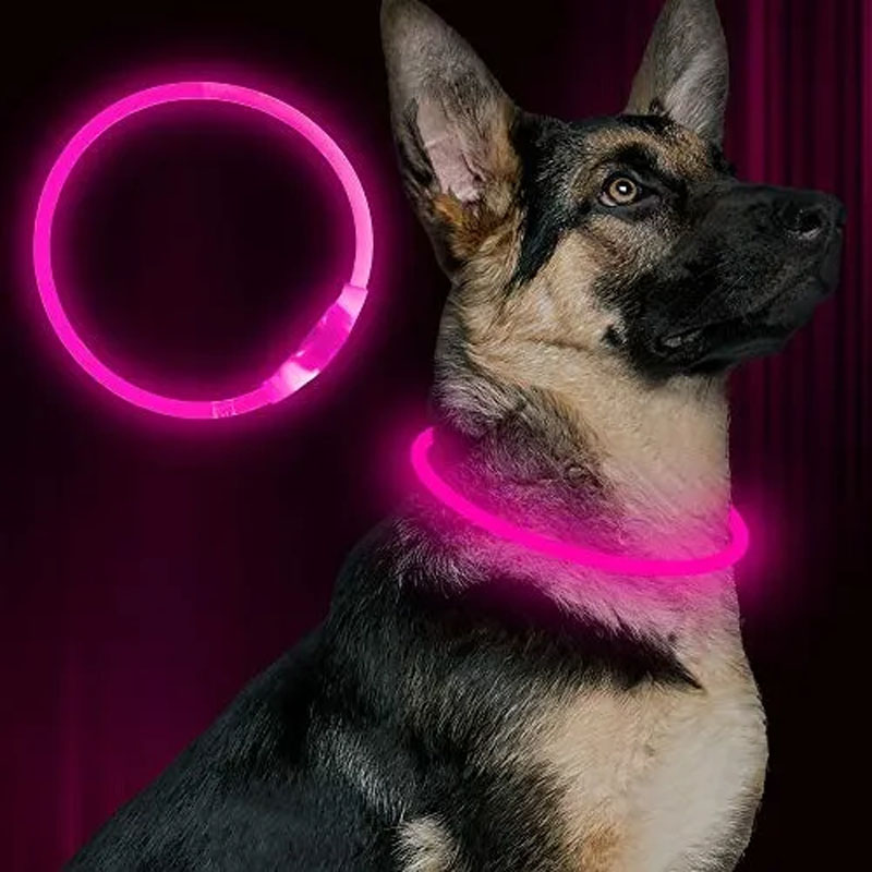Collar Led Recargable Para Perros 2
