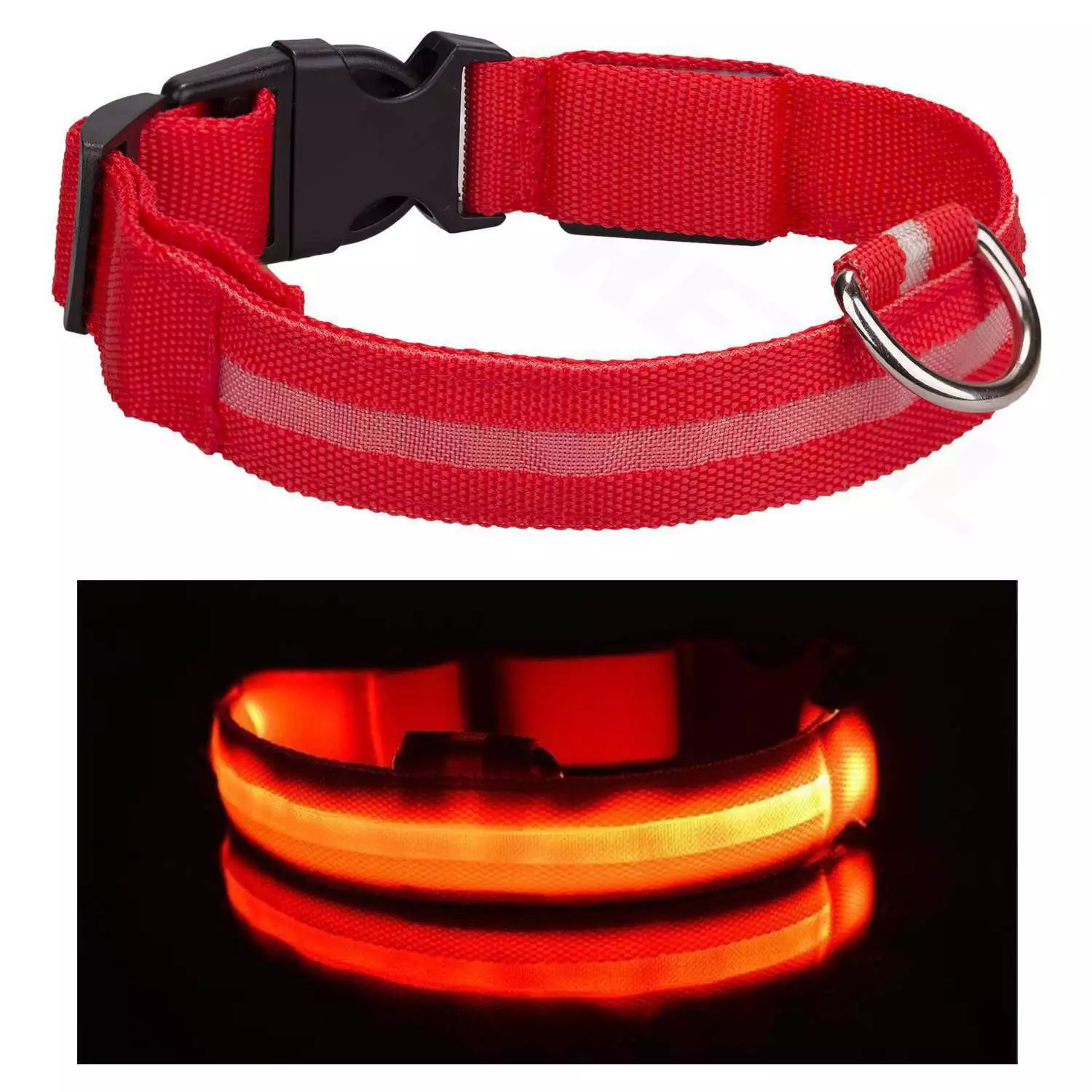 Collar Led Perros Nailon Brillante Rj