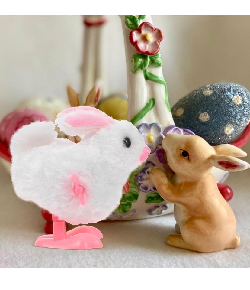 Juguete Conejo Saltarin De Cuerda