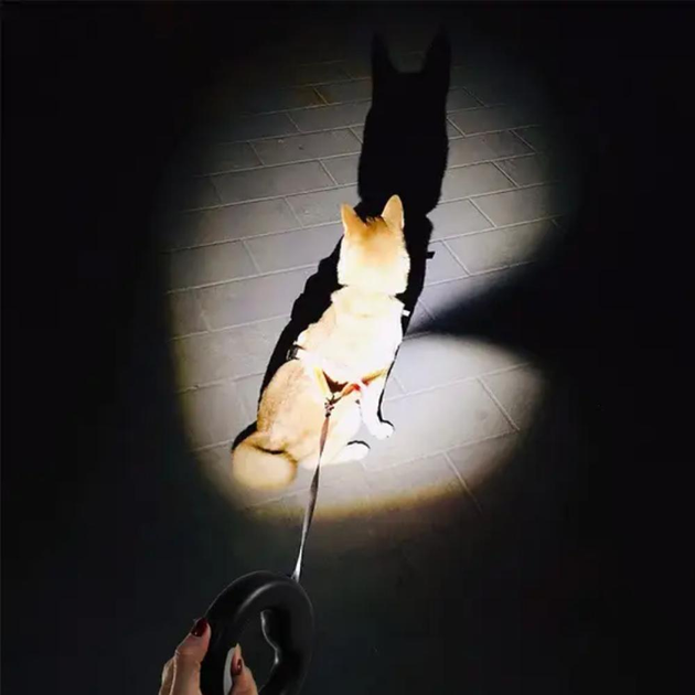 Miniatura 2 de Correa Retractil para Mascota