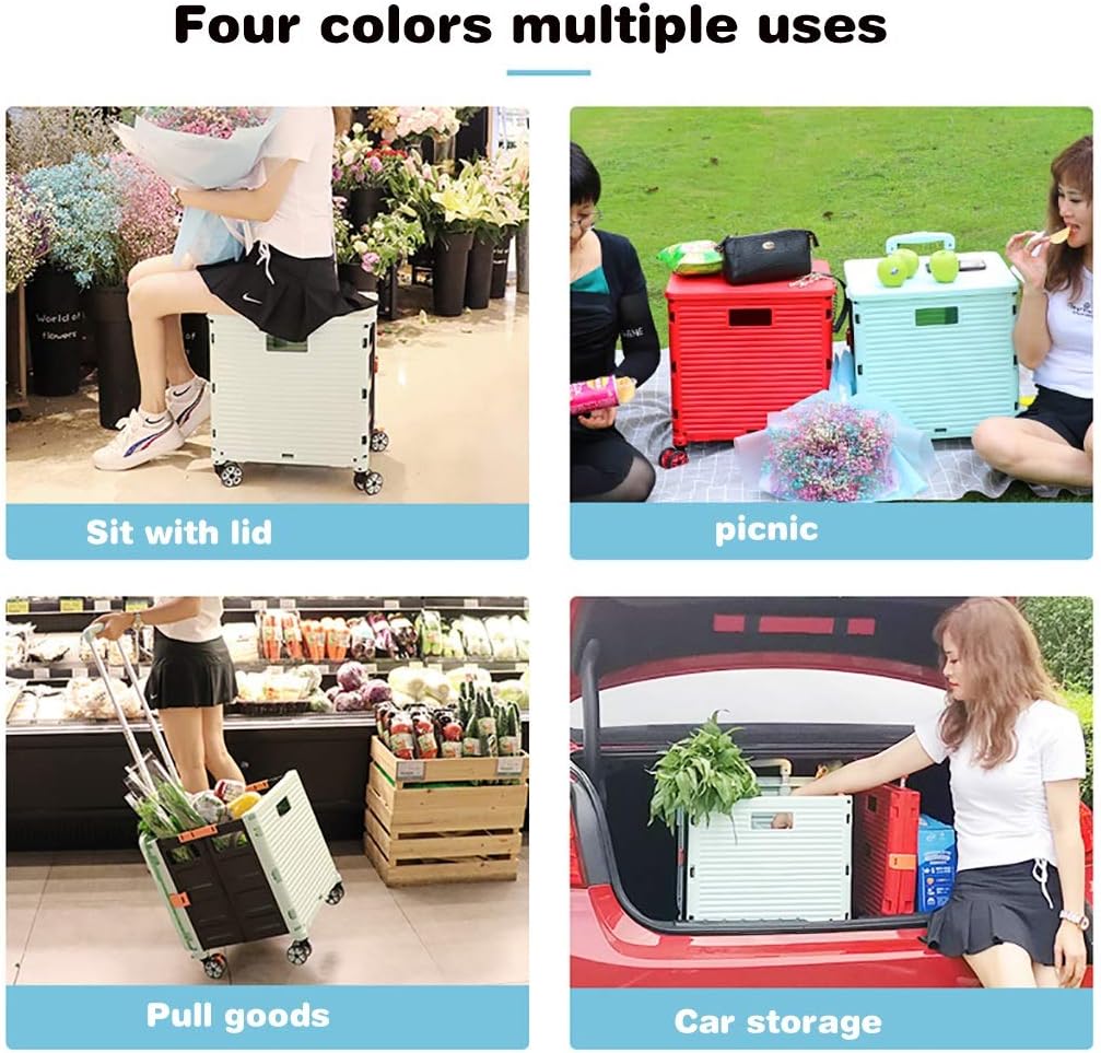 Carro para compras plegable