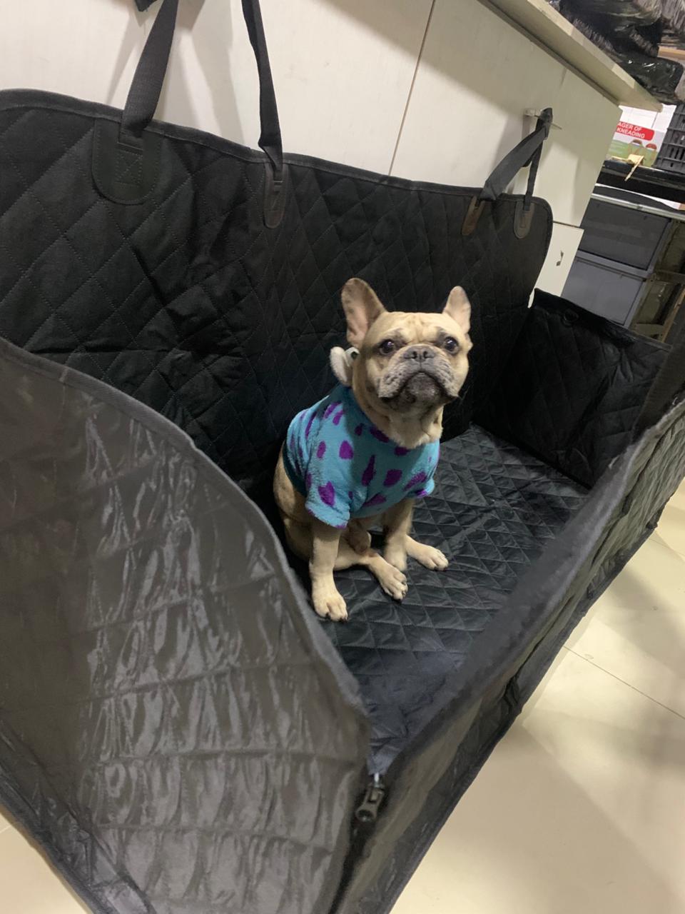 Protector de Carro Para Mascotas