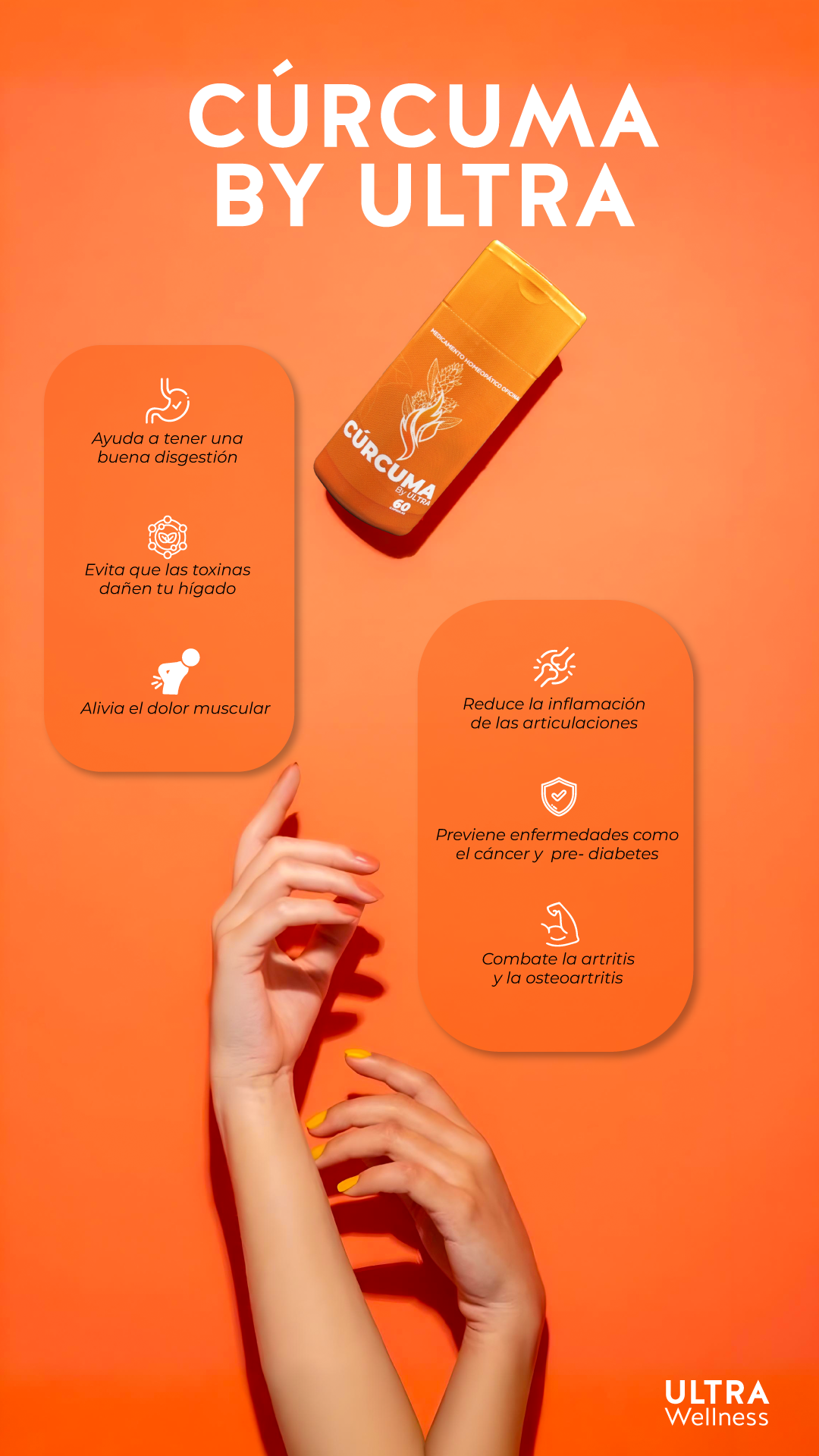 Miniatura 3 de Curcuma