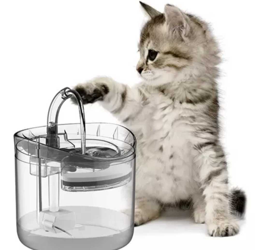Miniatura 3 de FUENTE DE AGUA PARA MASCOTAS TRANSPARENT