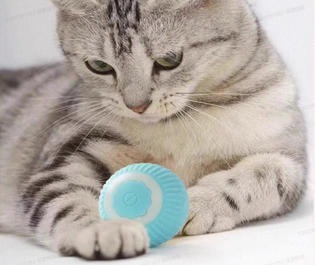 Miniatura 2 de COMBO CEPILLO VAPOR + PELOTA INTERACTIVA