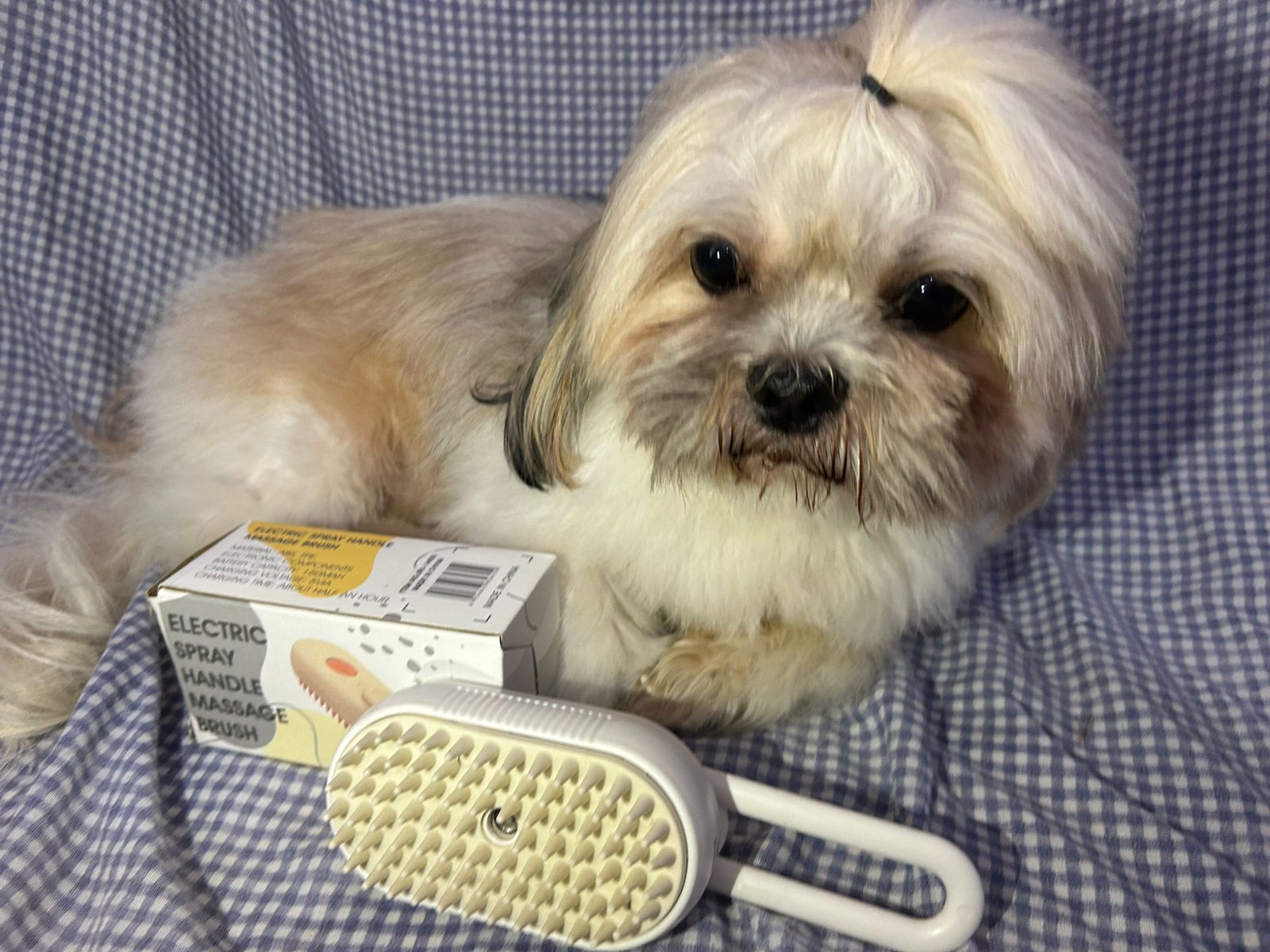 COMBO CEPILLO VAPOR + PELOTA INTERACTIVA