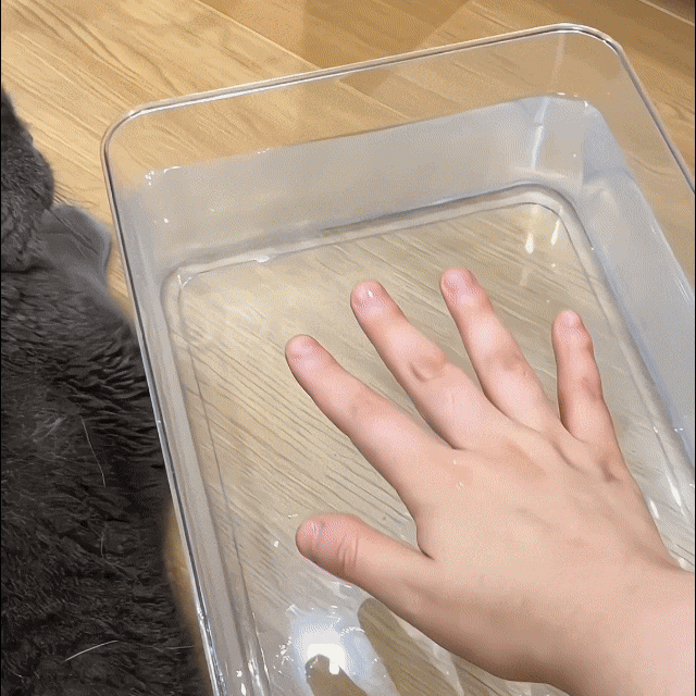 Cepillo Masajeador Quita Pelos JL02