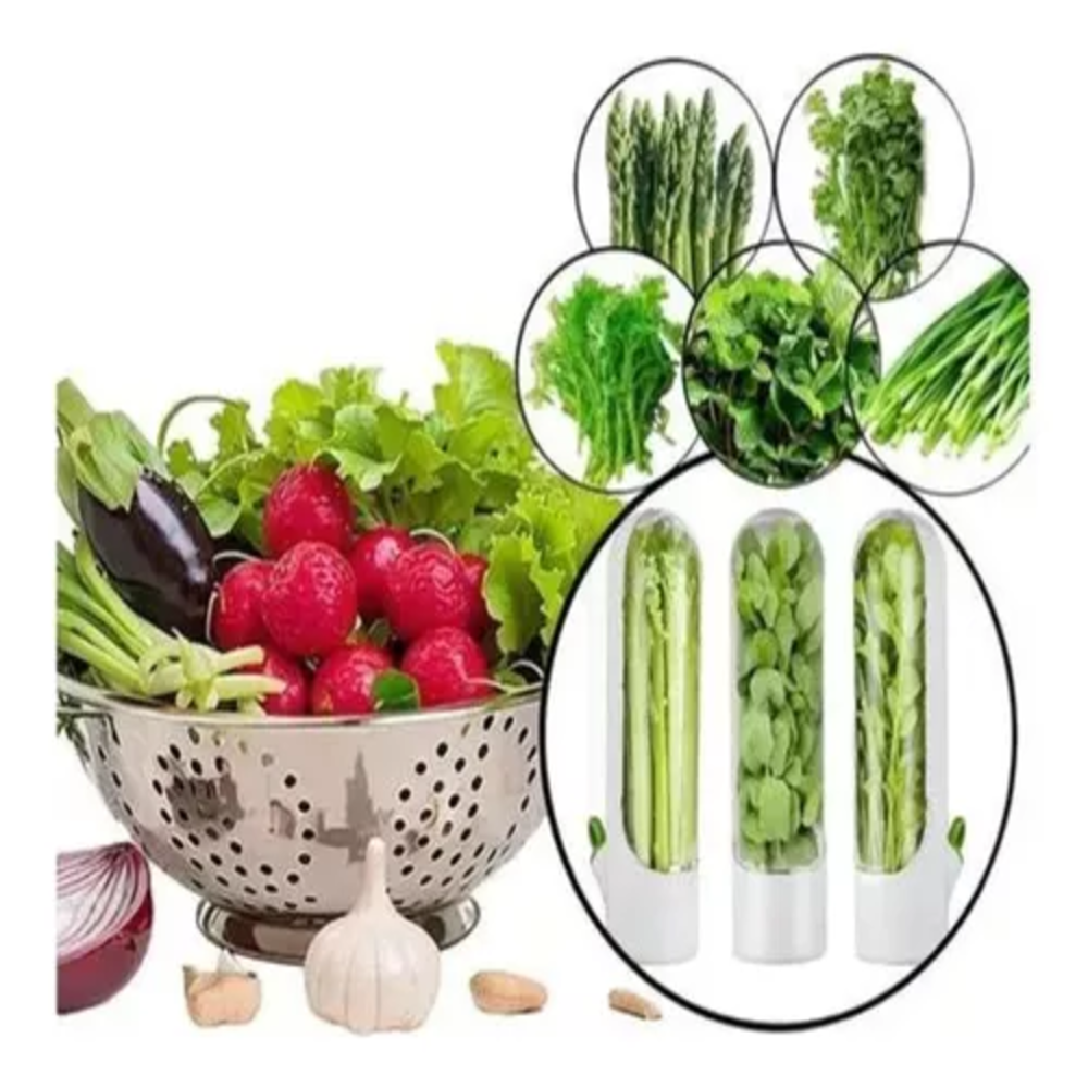 RECIPIENTE CONSERVADOR DE HIERVAS