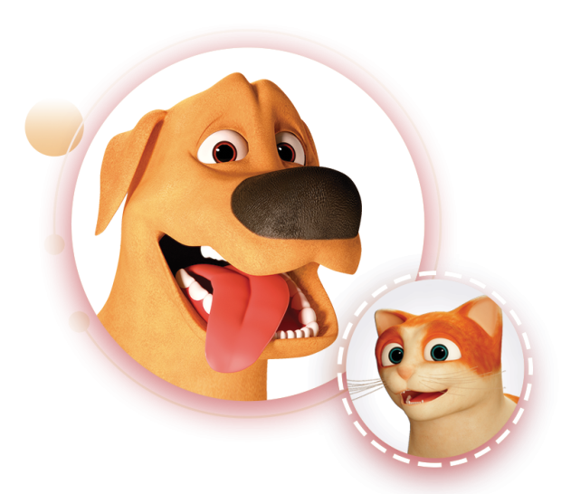 SUPER COMBO CUIDADO MASCOTA