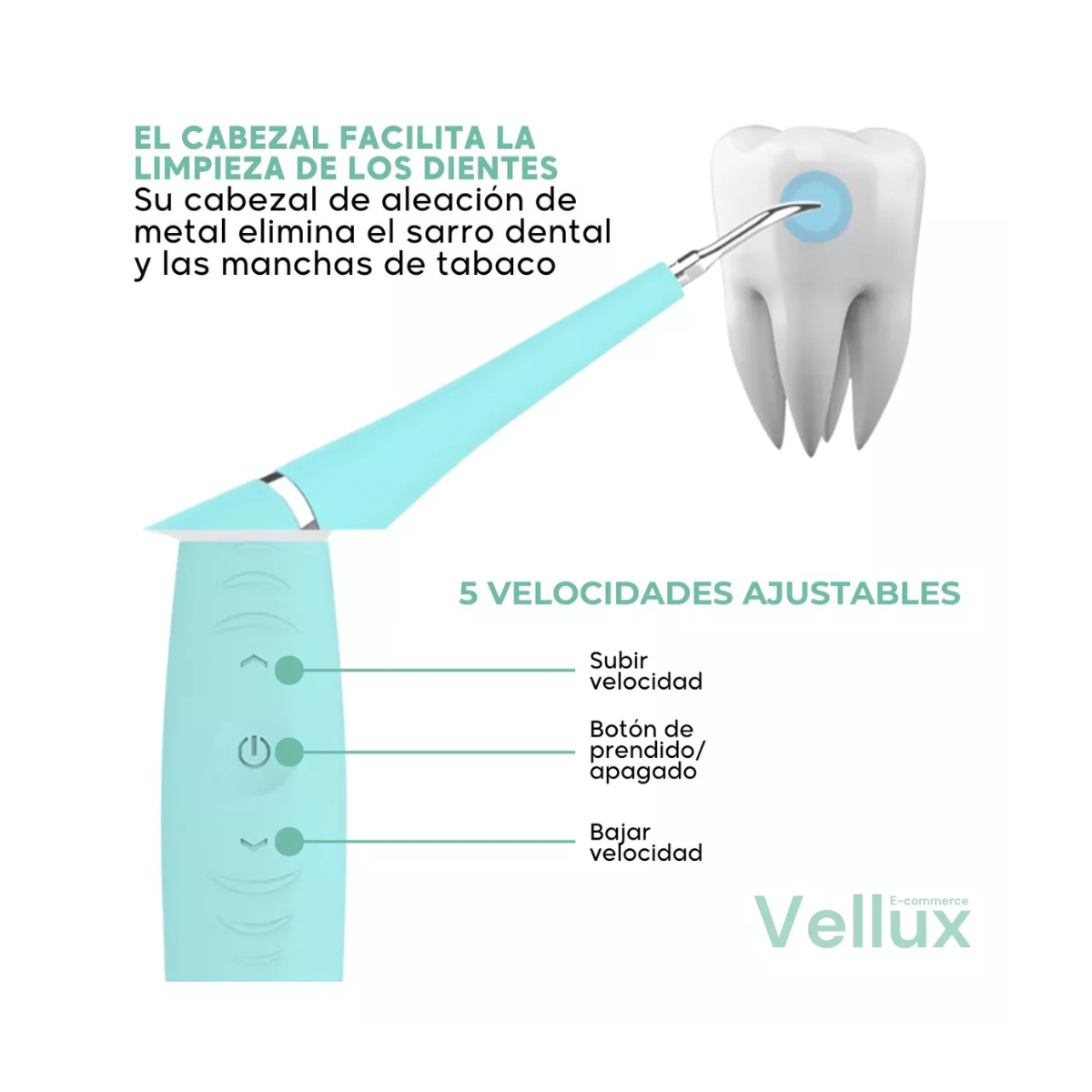 Miniatura 3 de Kit Cepillo Removedor del Calculo y Sarr