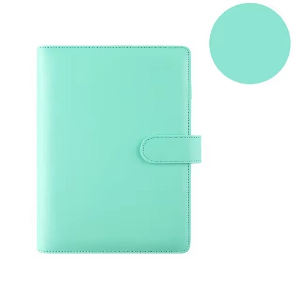 Miniatura 10 de AGENDA FINANCIERA COLOR VERDE MENTA