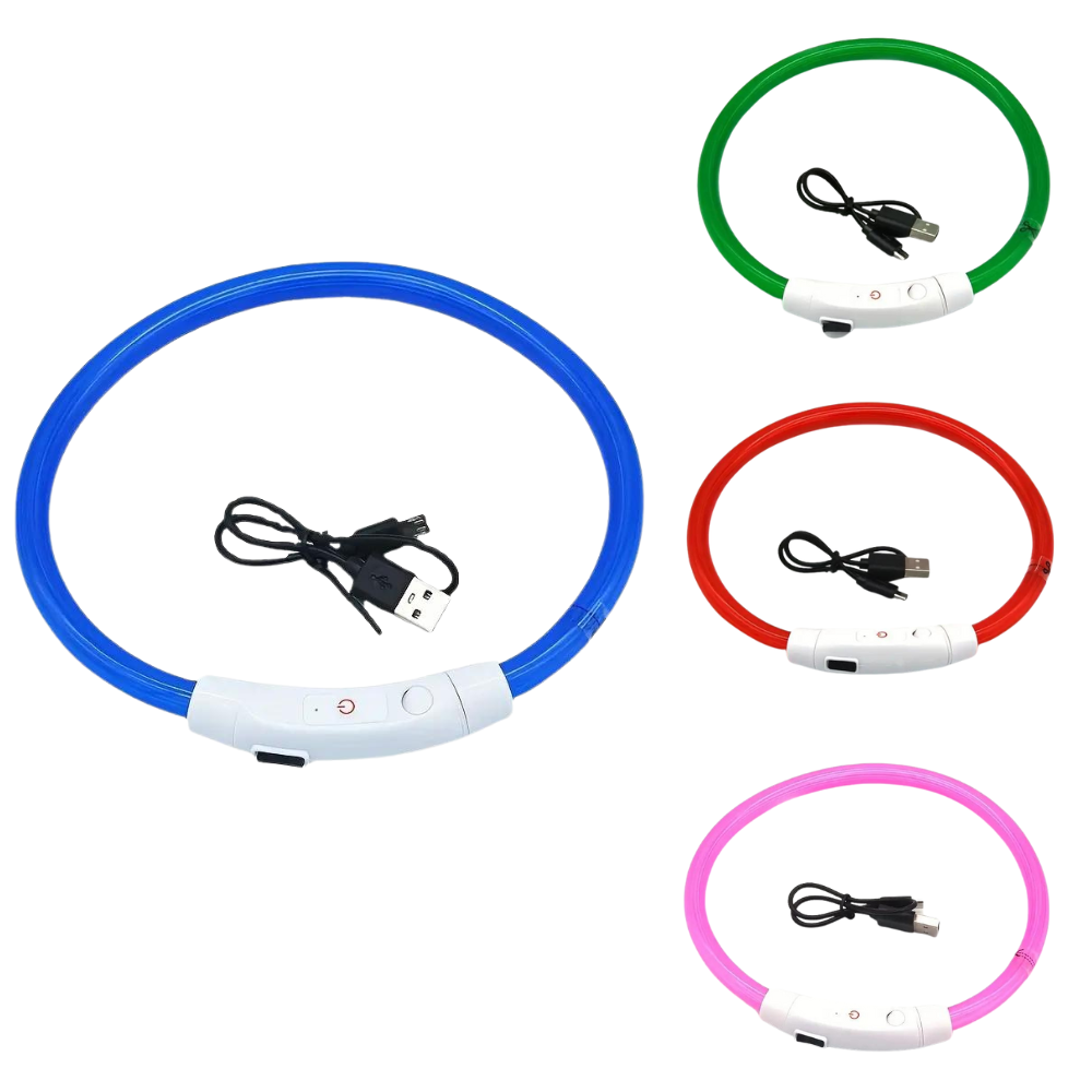 Collar Led Perro